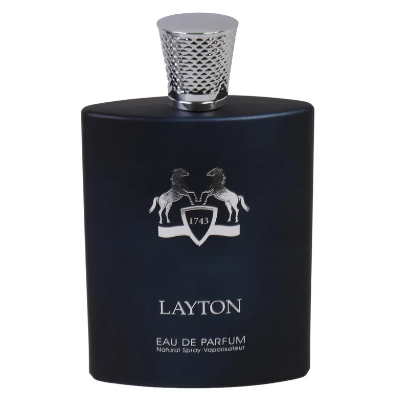 ادو پرفیوم مردانه فراگرنس ورد مدل Layton حجم 100 میلی لیتر
