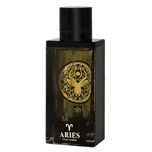 ادو پرفیوم مردانه مارتینی مدل ARIES حجم 100 میلی لیتر