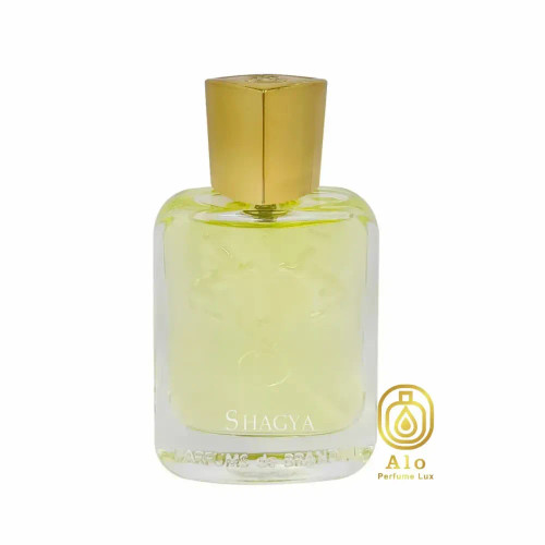 عطر جیبی مردانه برندینی مدل شگیا حجم 33 میل